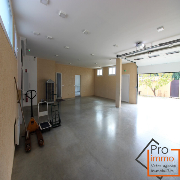 Vente Immobilier Professionnel Alénya 66200