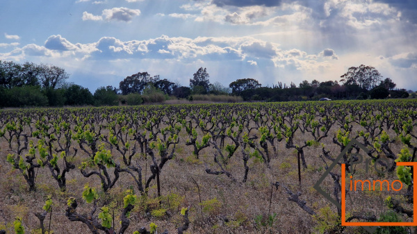 Offres de vente Terrain agricole Canet-en-Roussillon 66140
